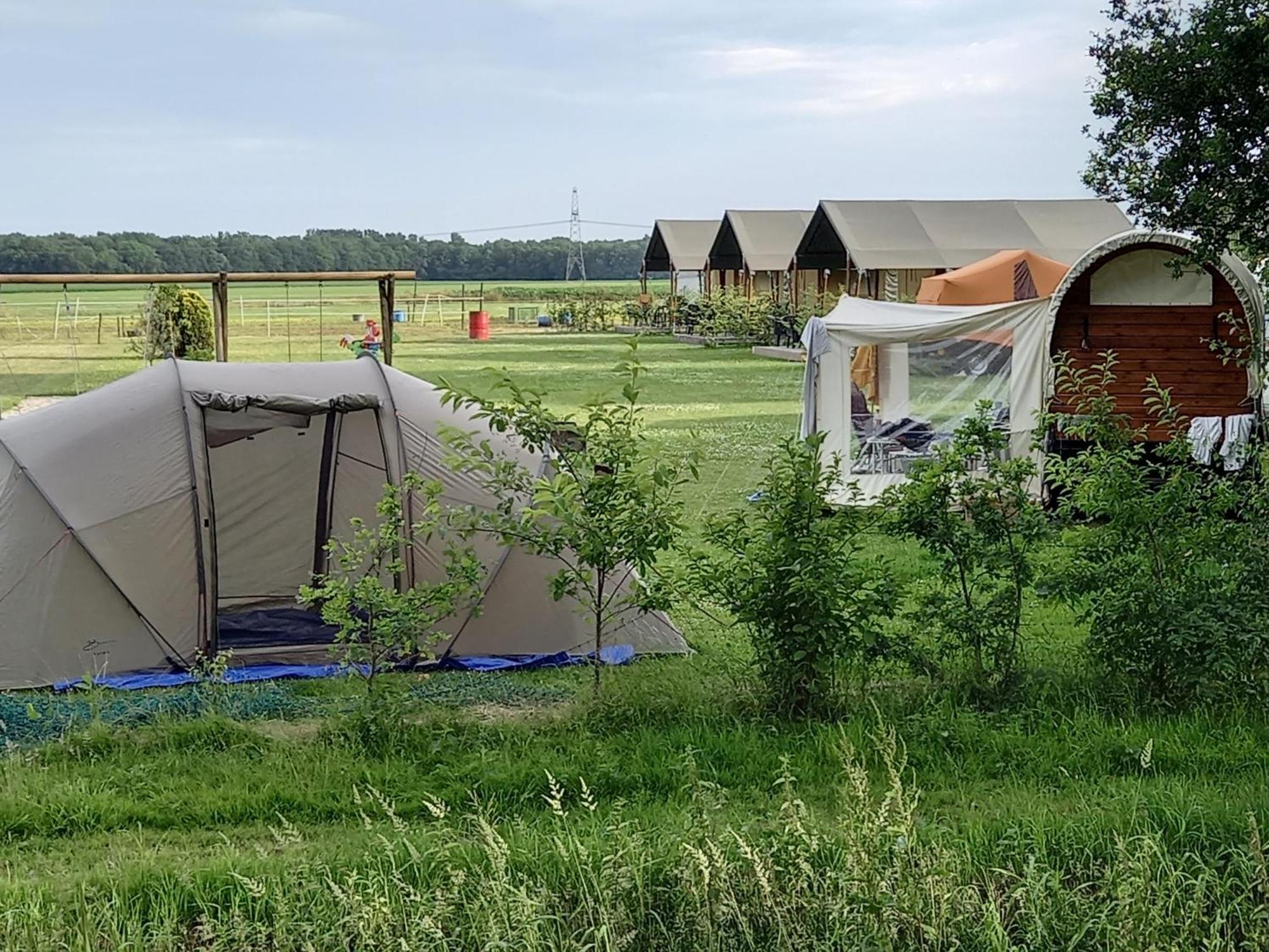 thoefijzer Zwiggelte Buitenkant foto